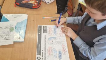 Рациональное потребление