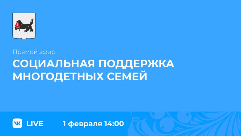 Иркутская область: о социальной поддержке многодетных семе