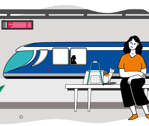 Рейс задержали или отменили: какие права есть у пассажира